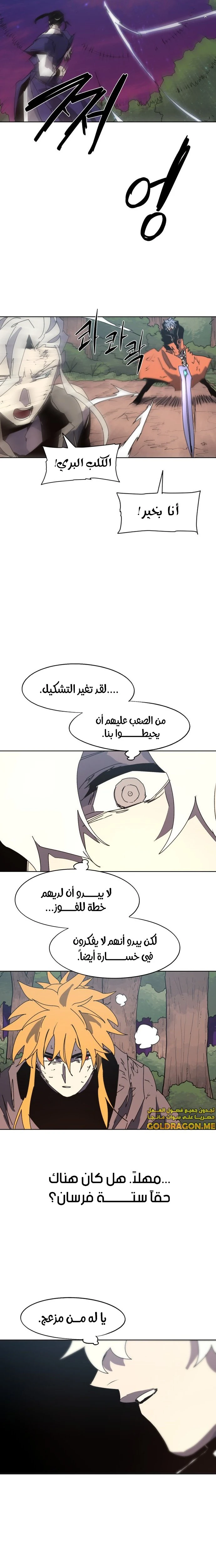 الصفحة 13