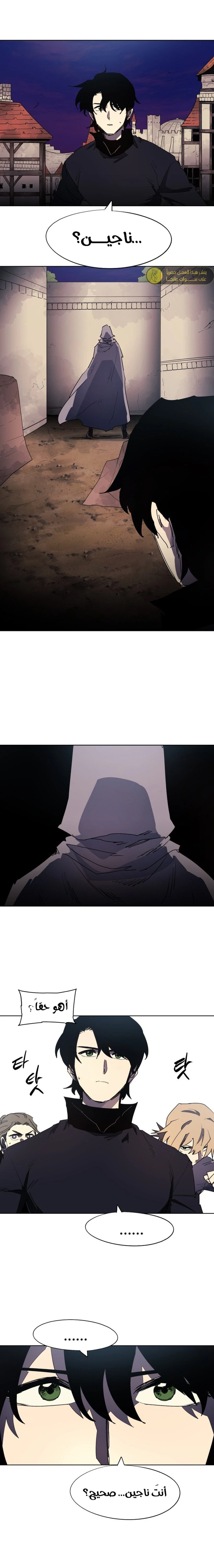 الصفحة 13