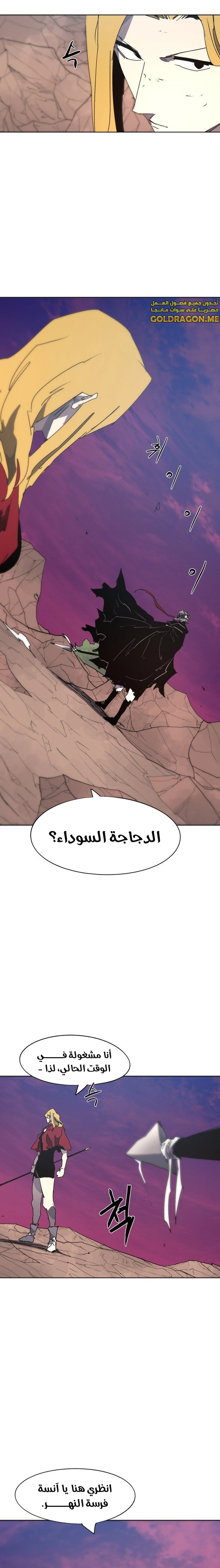 الصفحة 17