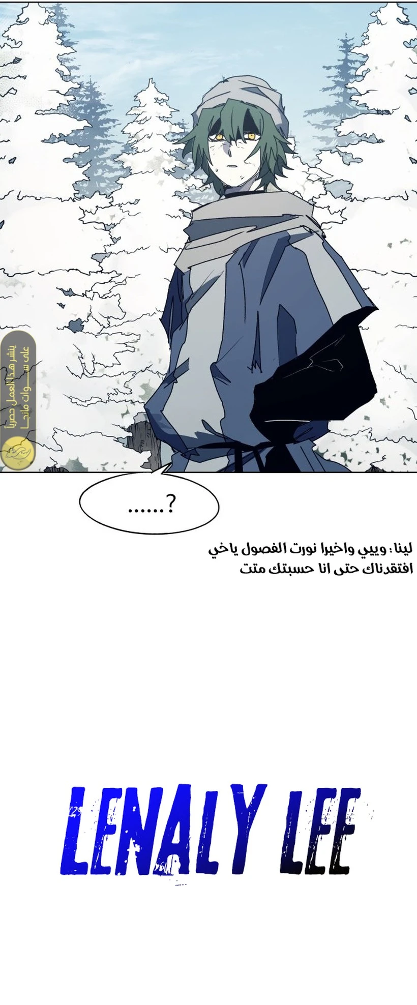 الصفحة 13