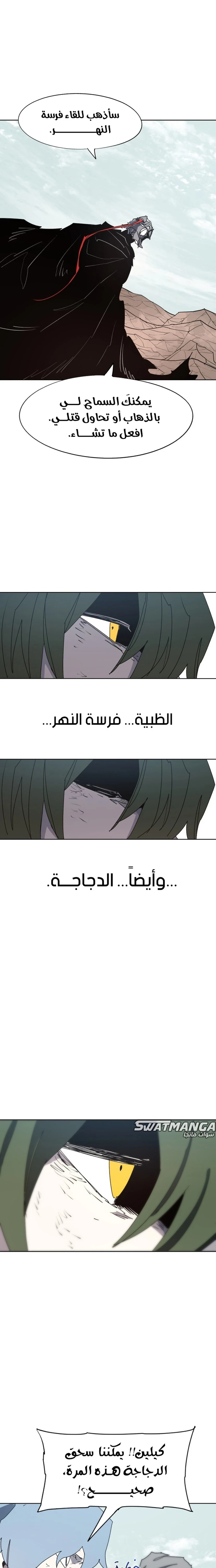 الصفحة 13