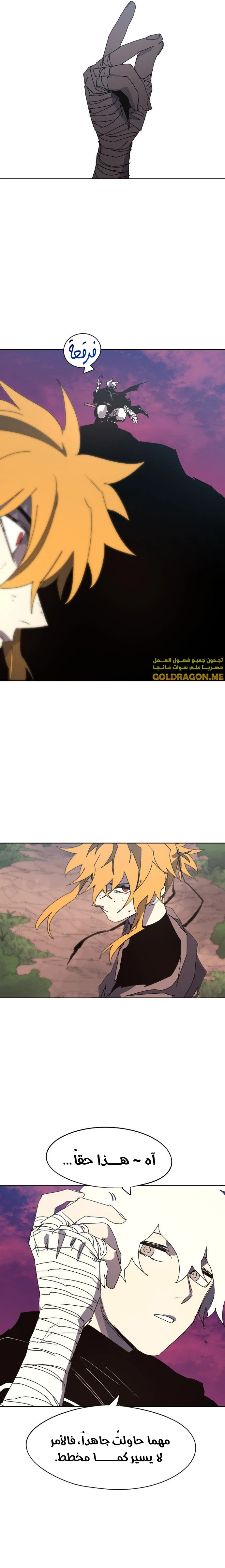 الصفحة 11