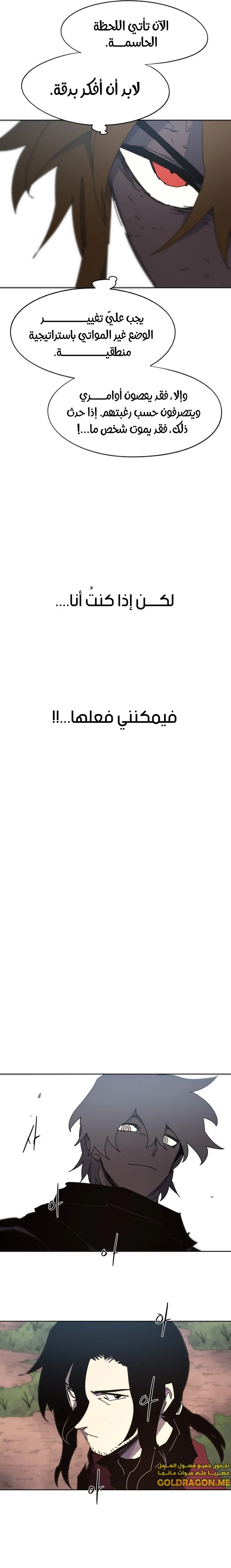 الصفحة 17
