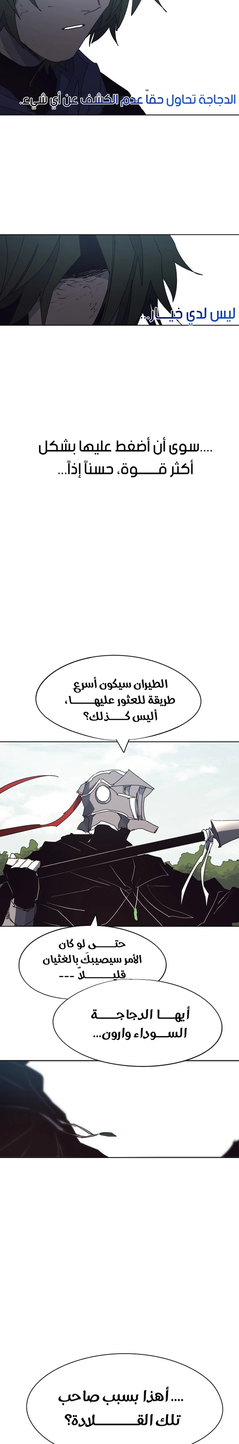 الصفحة 15