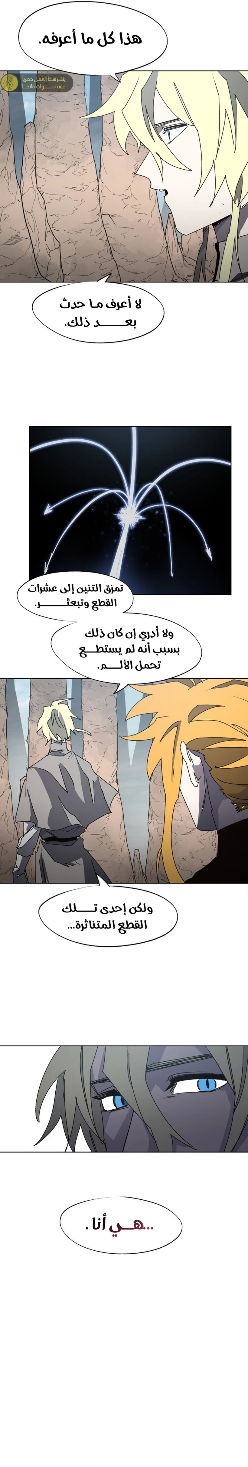 الصفحة 13