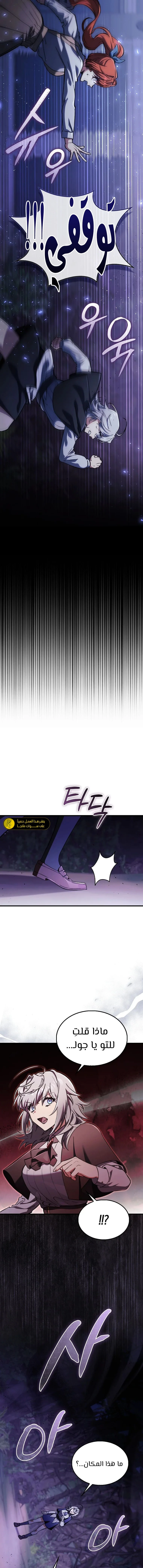 الصفحة 13
