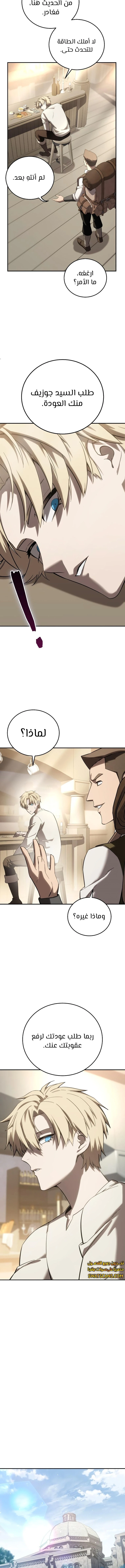 الصفحة 17