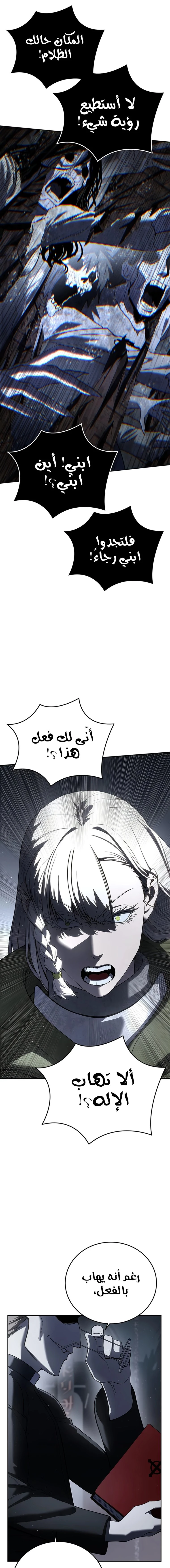 الصفحة 17