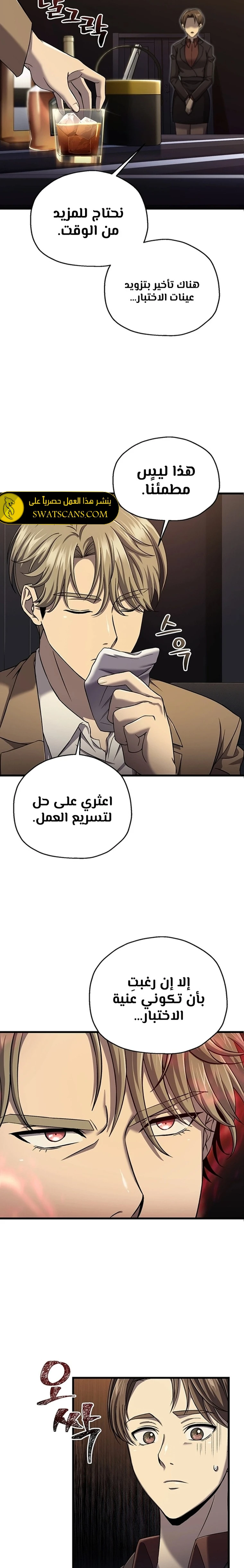 الصفحة 17