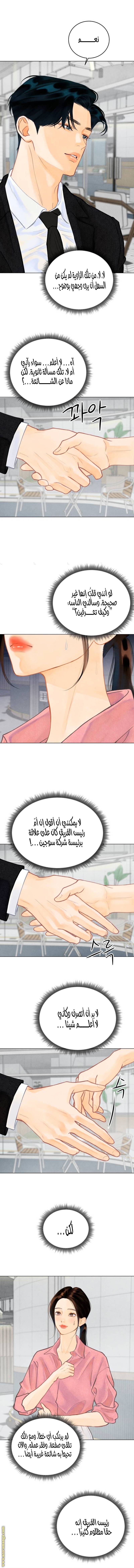 الصفحة 19