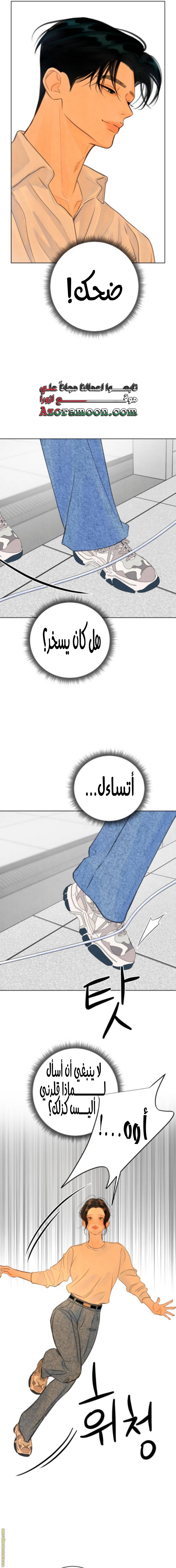 الصفحة 13