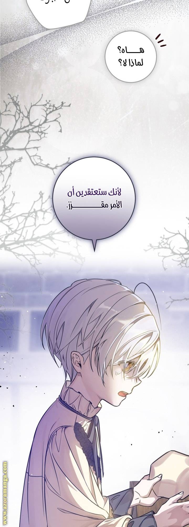 الصفحة 25