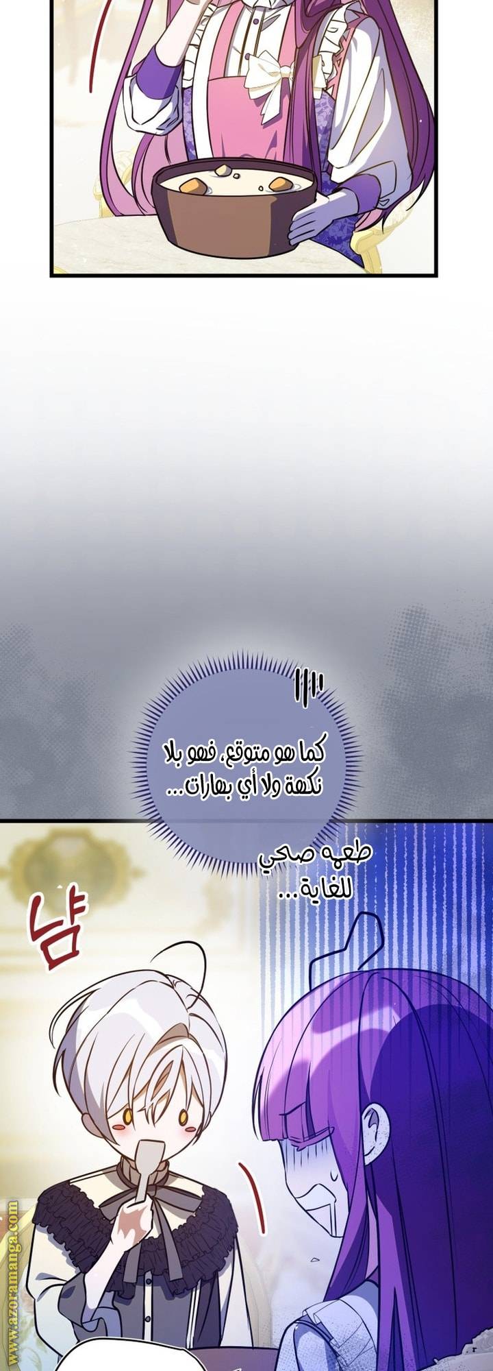 الصفحة 29