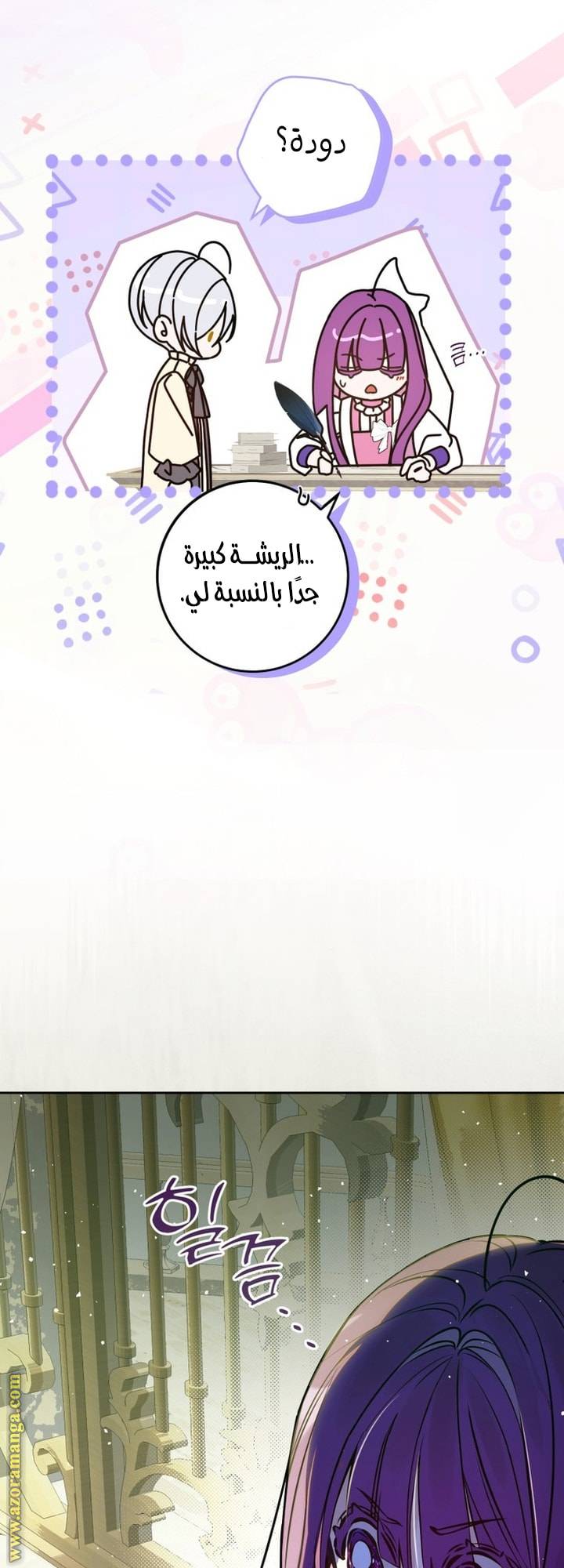 الصفحة 41