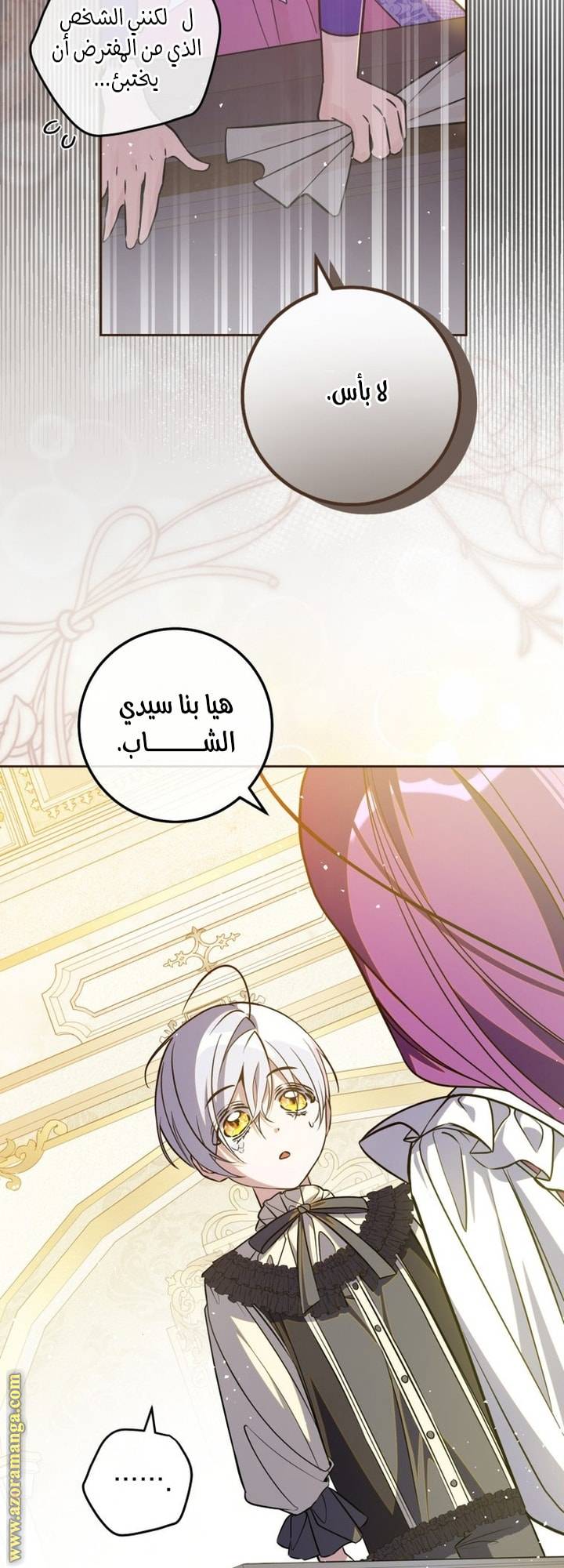 الصفحة 46