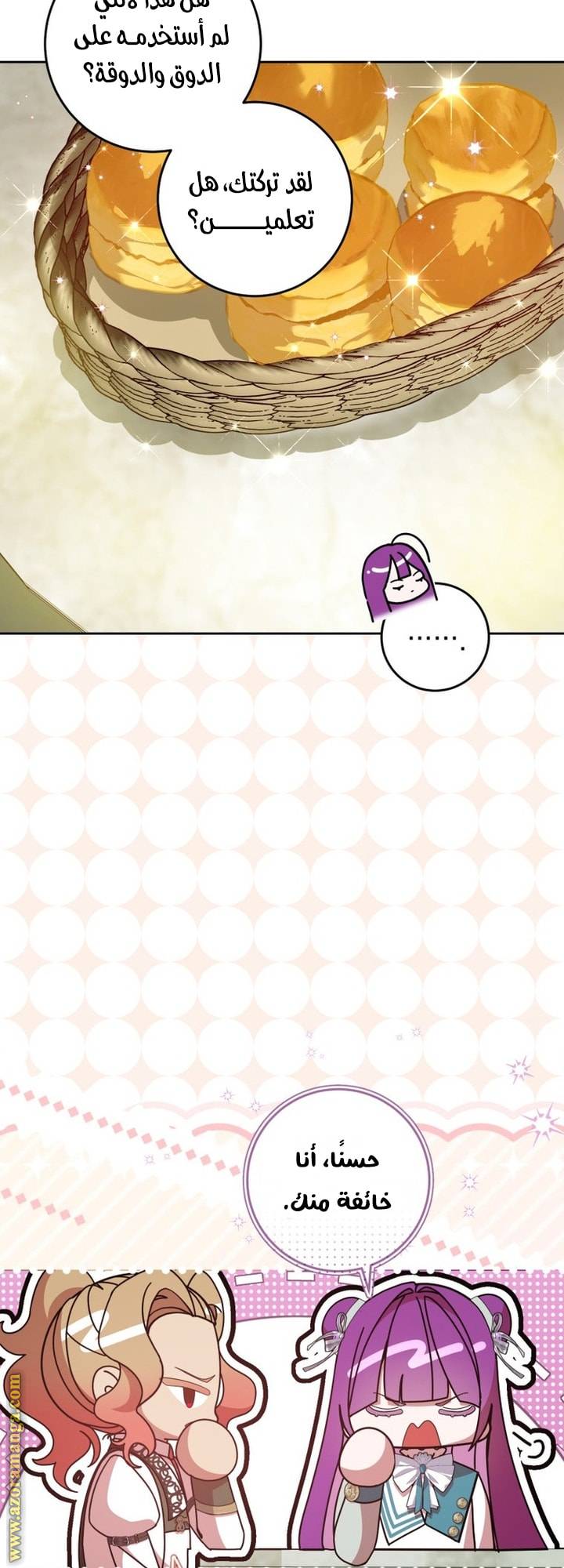الصفحة 21