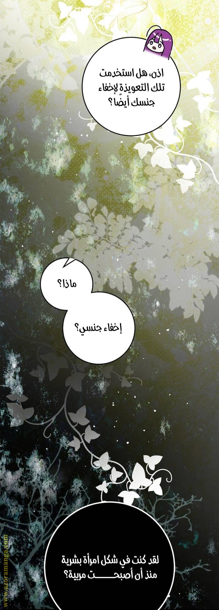 الصفحة 29