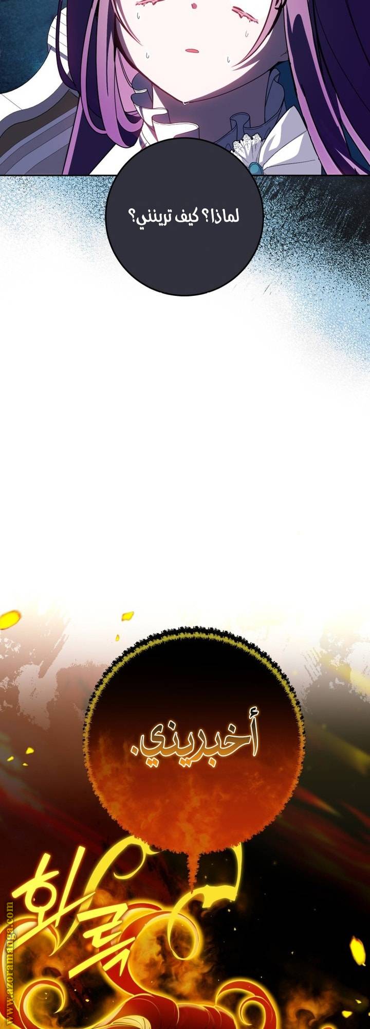 الصفحة 31