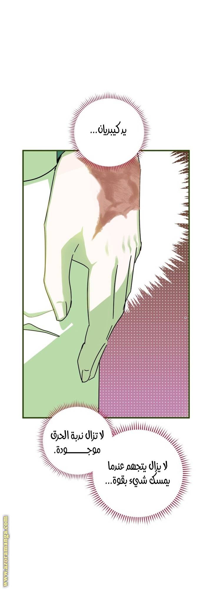 الصفحة 38