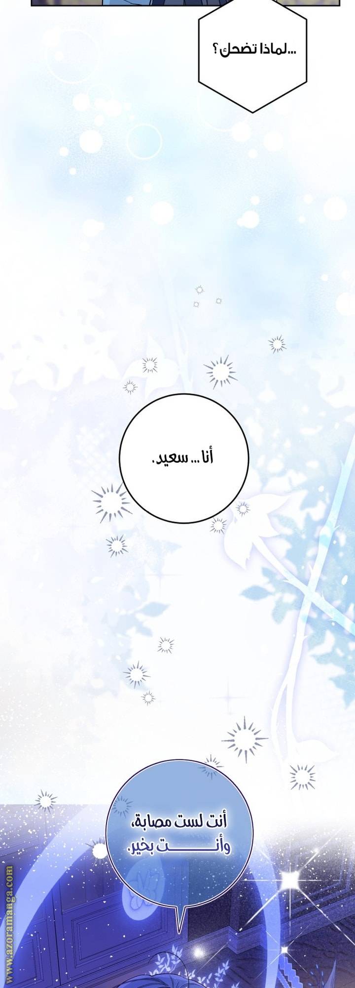 الصفحة 41