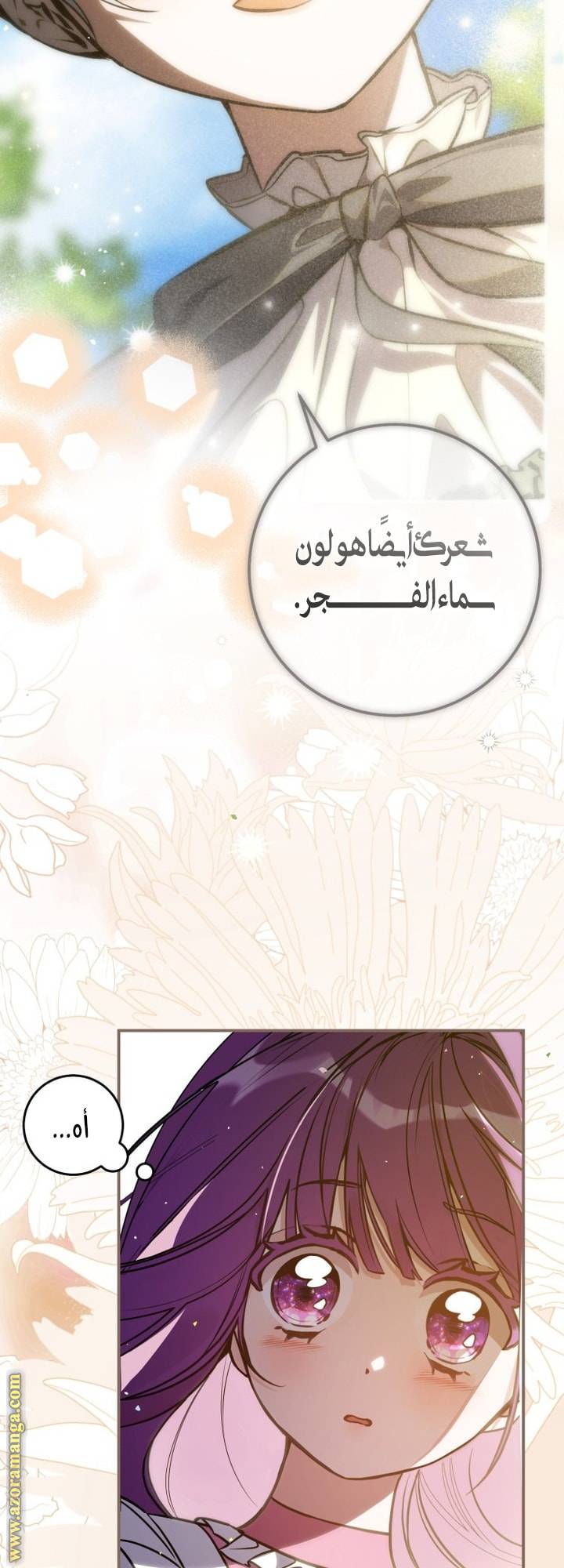 الصفحة 28