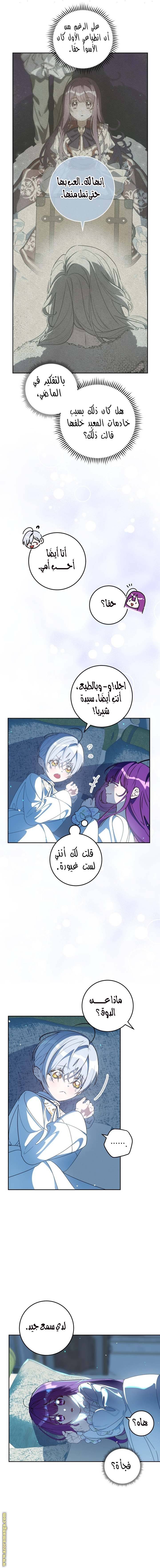 الصفحة 12