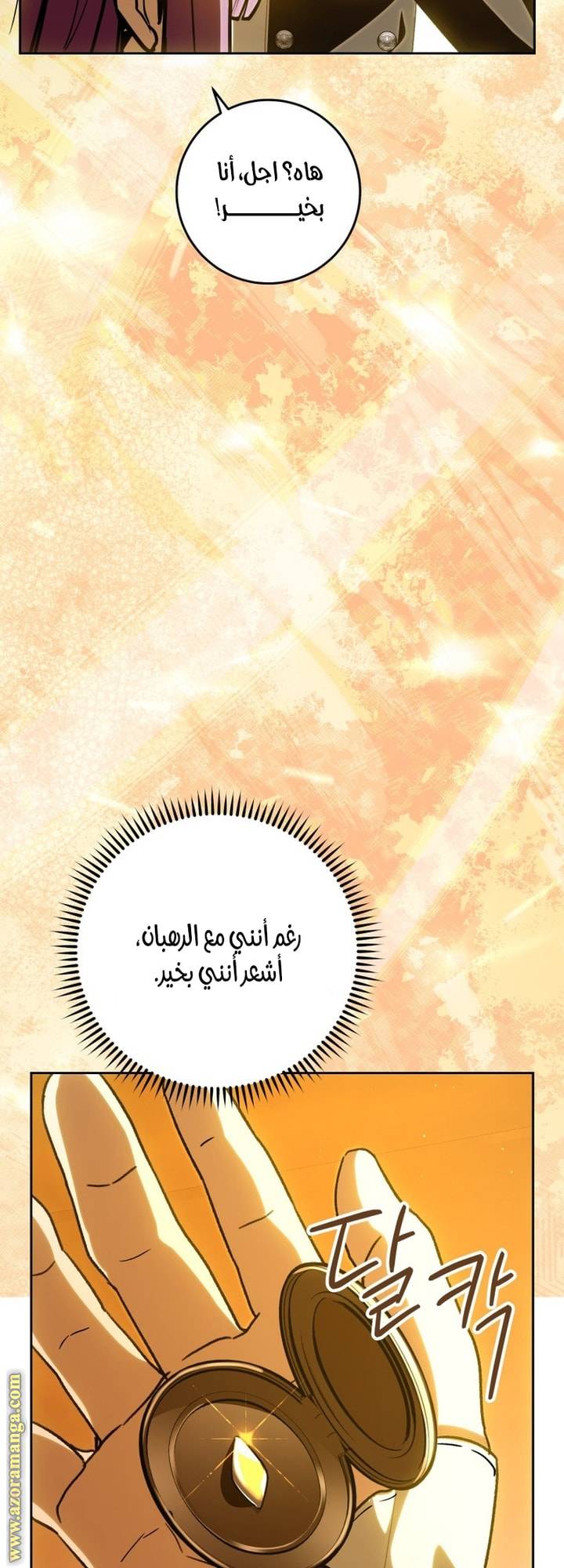 الصفحة 45