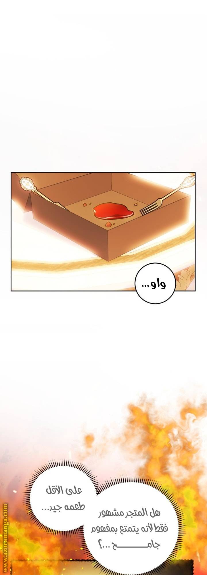 الصفحة 13