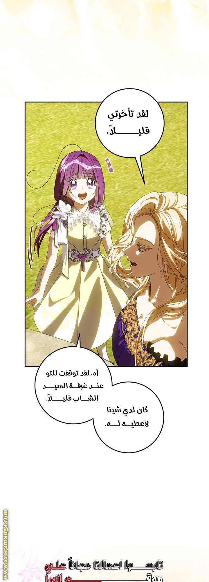 الصفحة 25