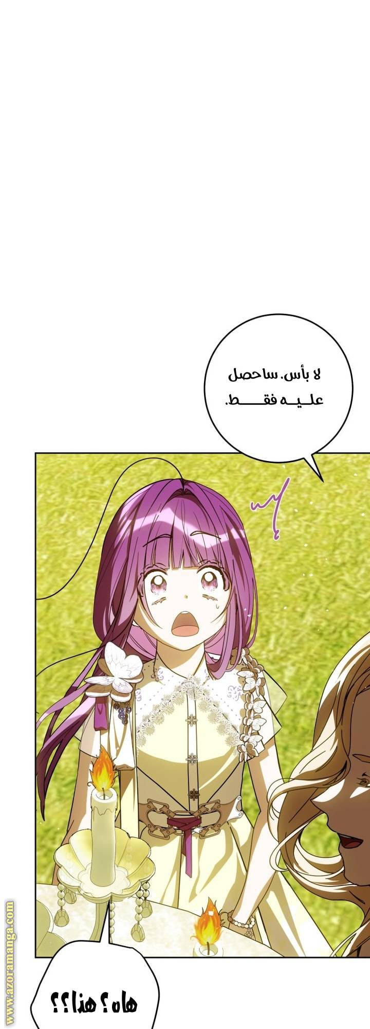 الصفحة 29