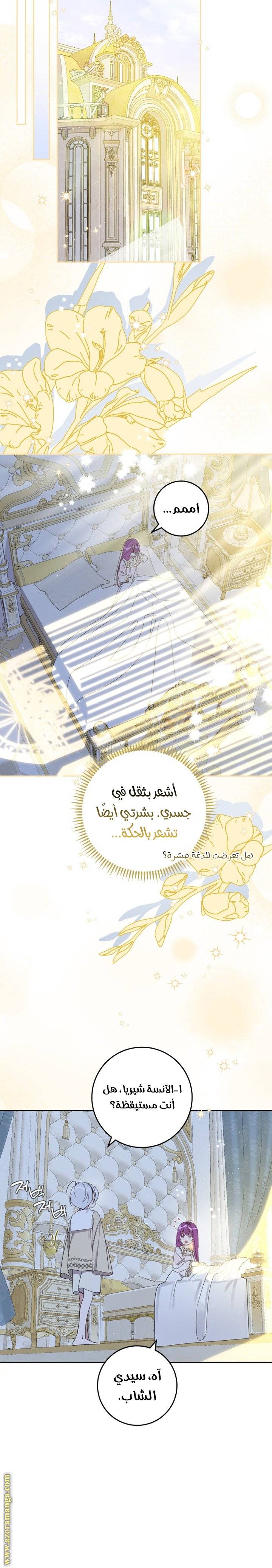 الصفحة 7