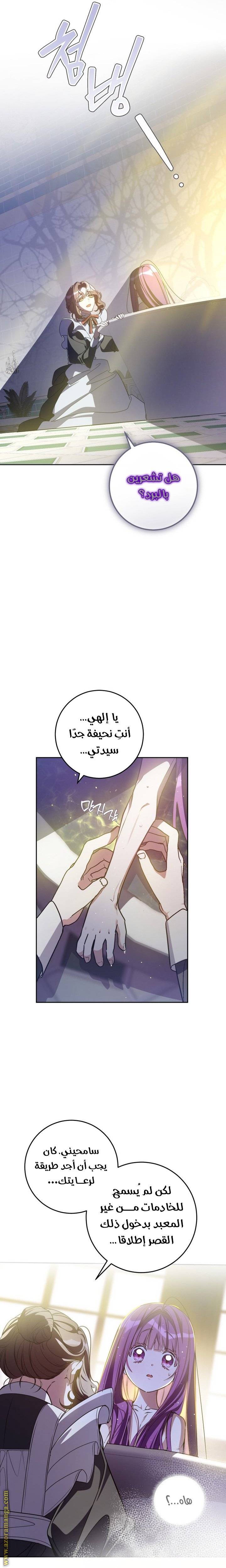 الصفحة 17