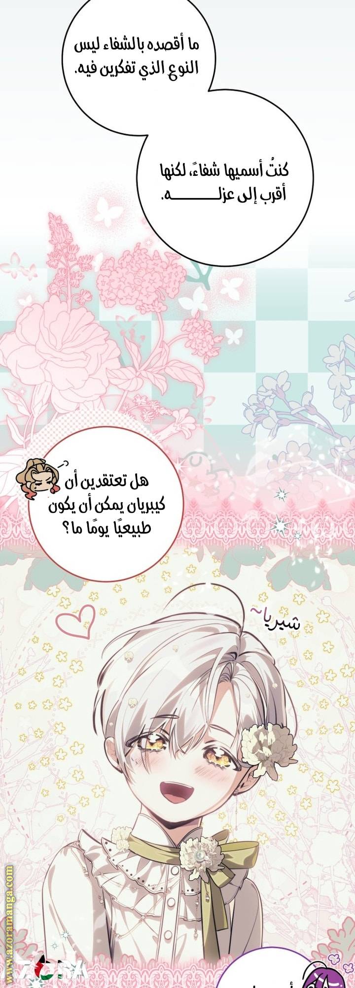 الصفحة 19
