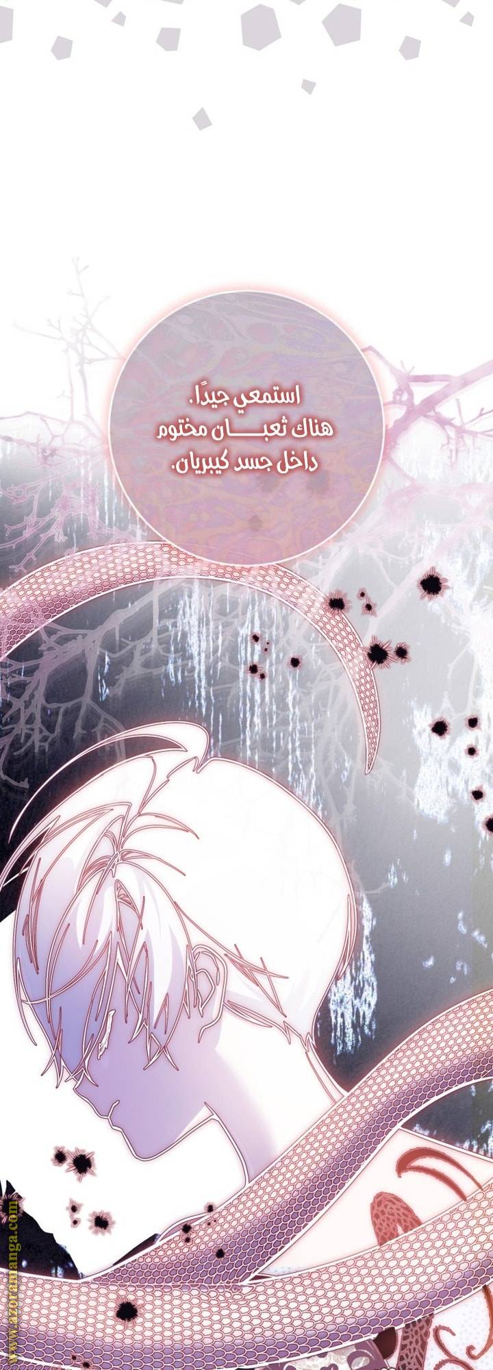 الصفحة 21