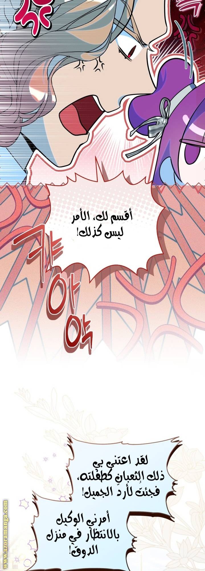 الصفحة 27