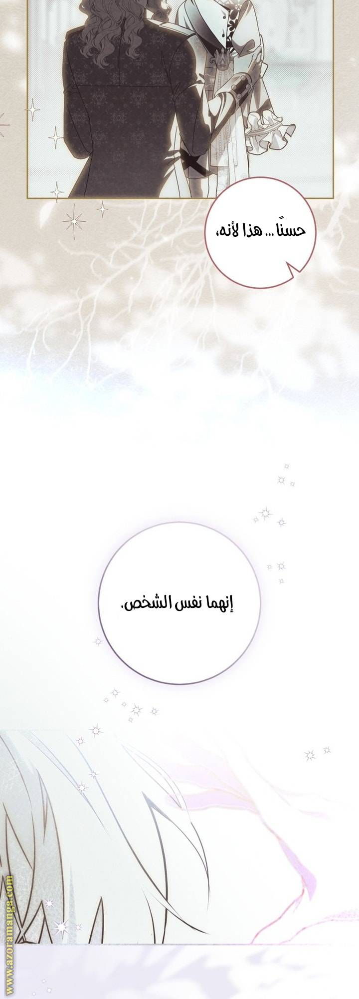 الصفحة 29