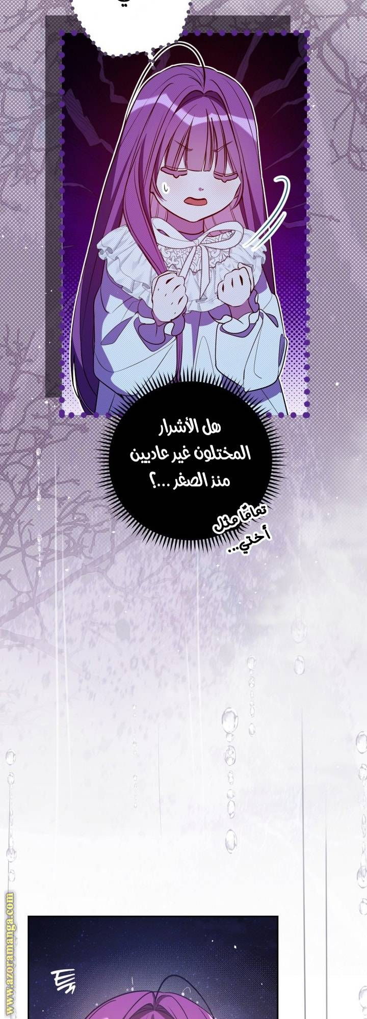 الصفحة 25