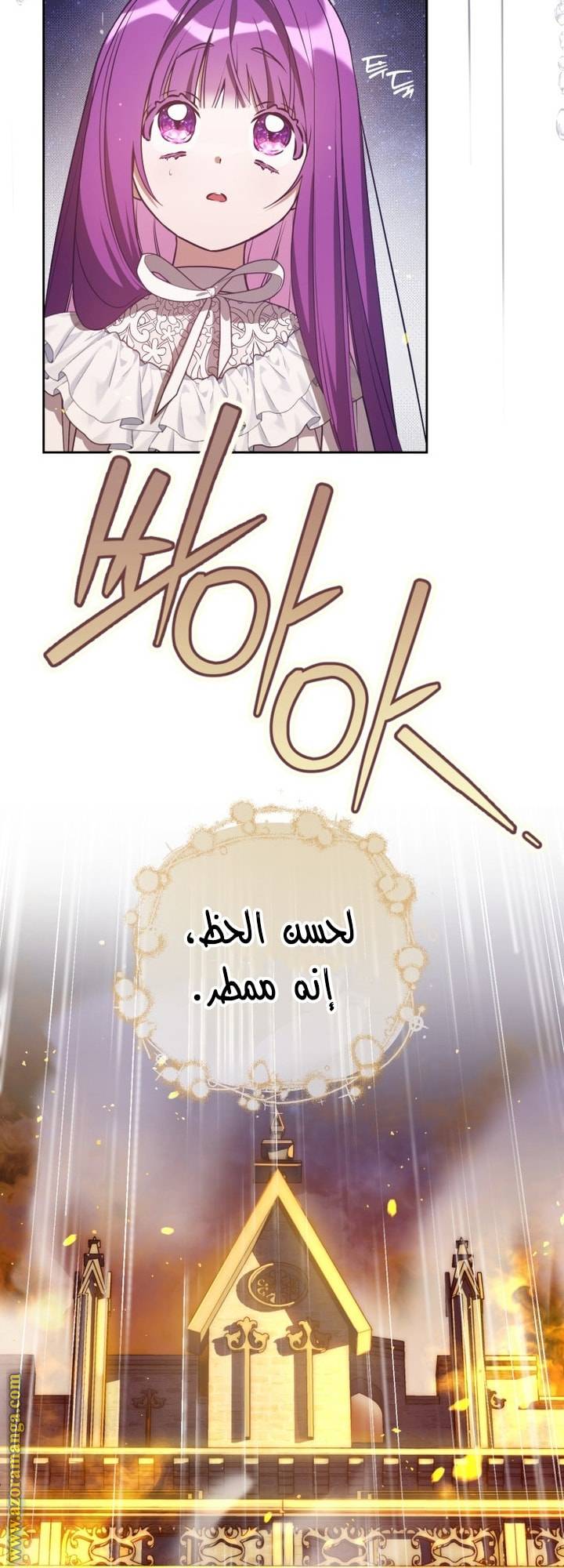 الصفحة 26