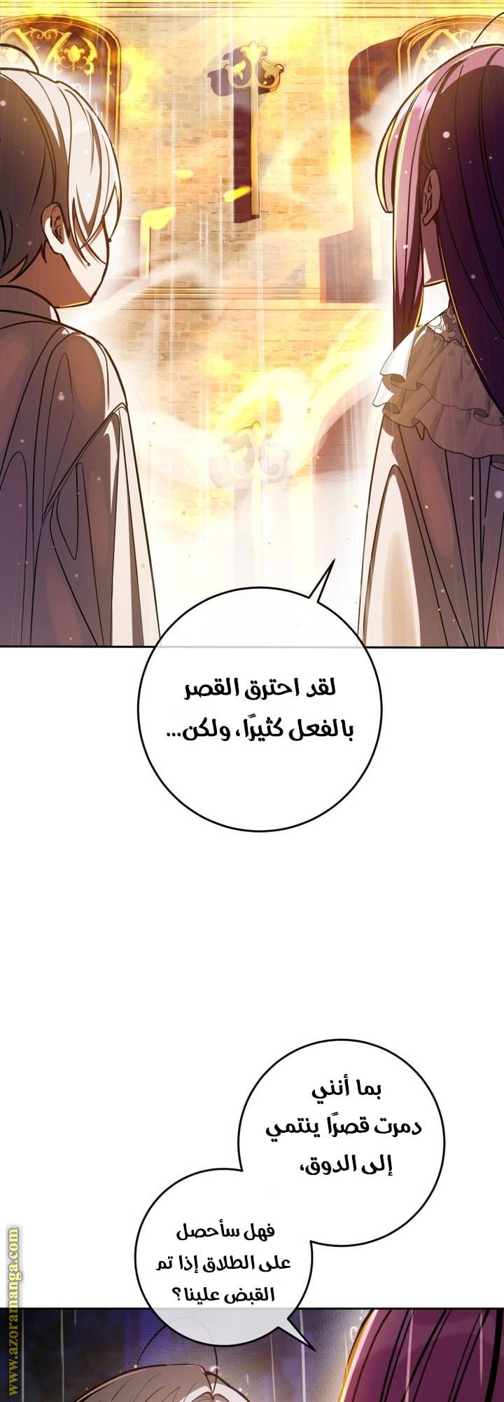 الصفحة 27