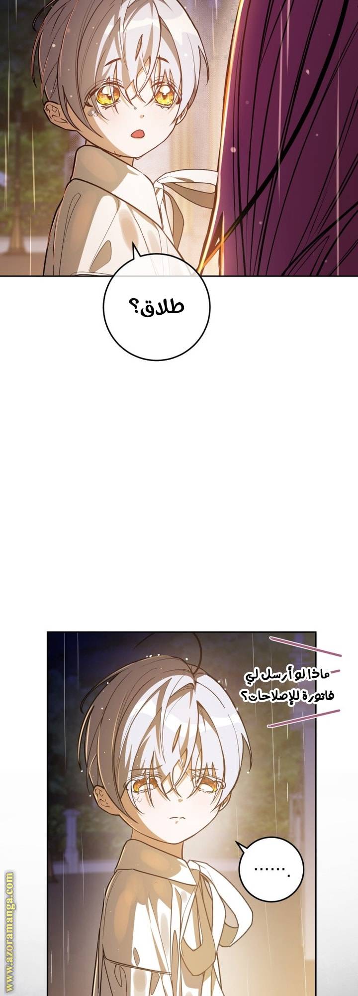 الصفحة 28