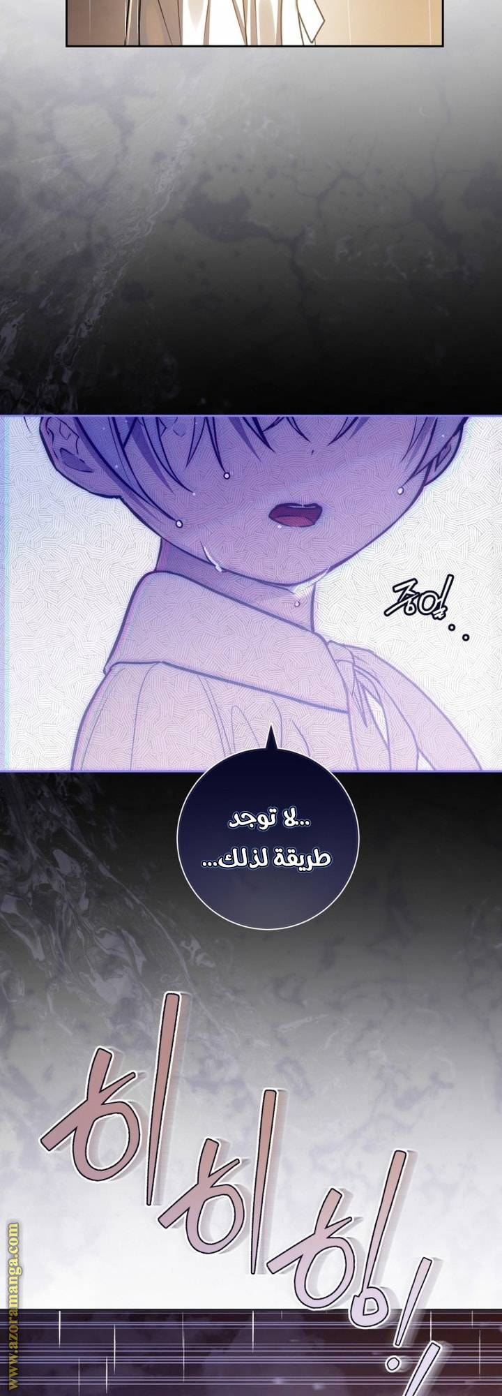 الصفحة 29
