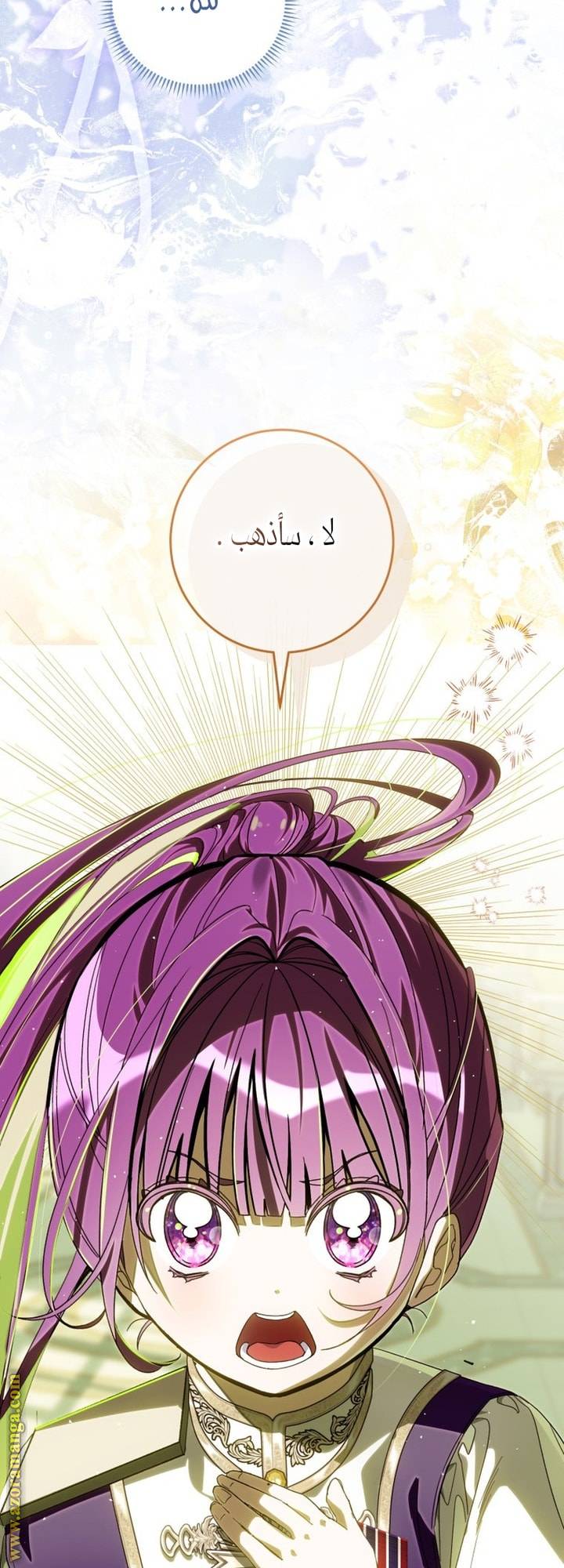 الصفحة 42