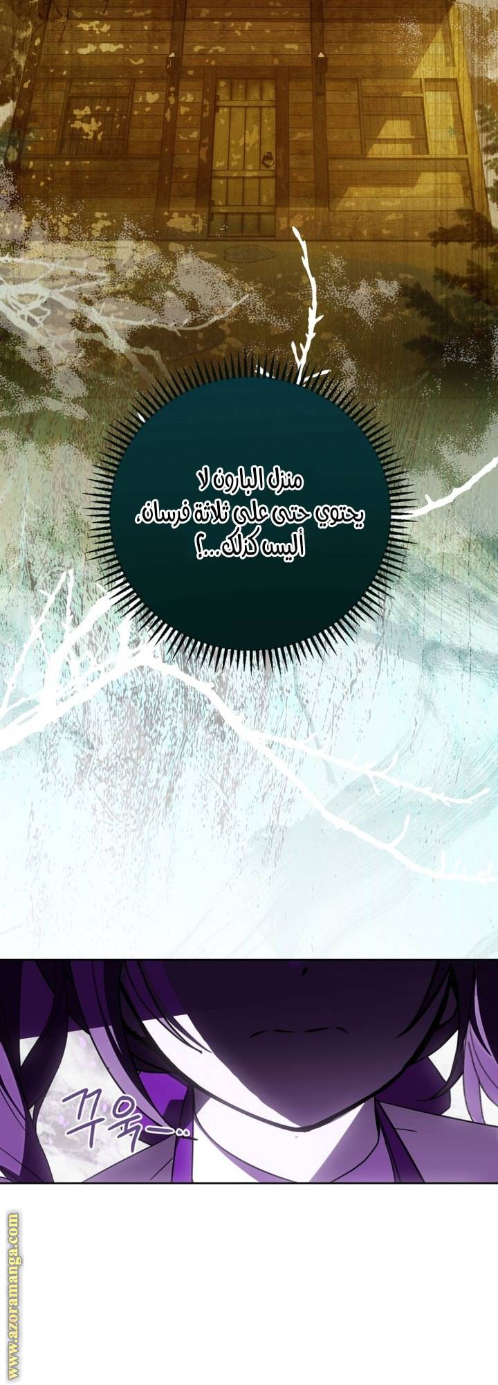 الصفحة 30