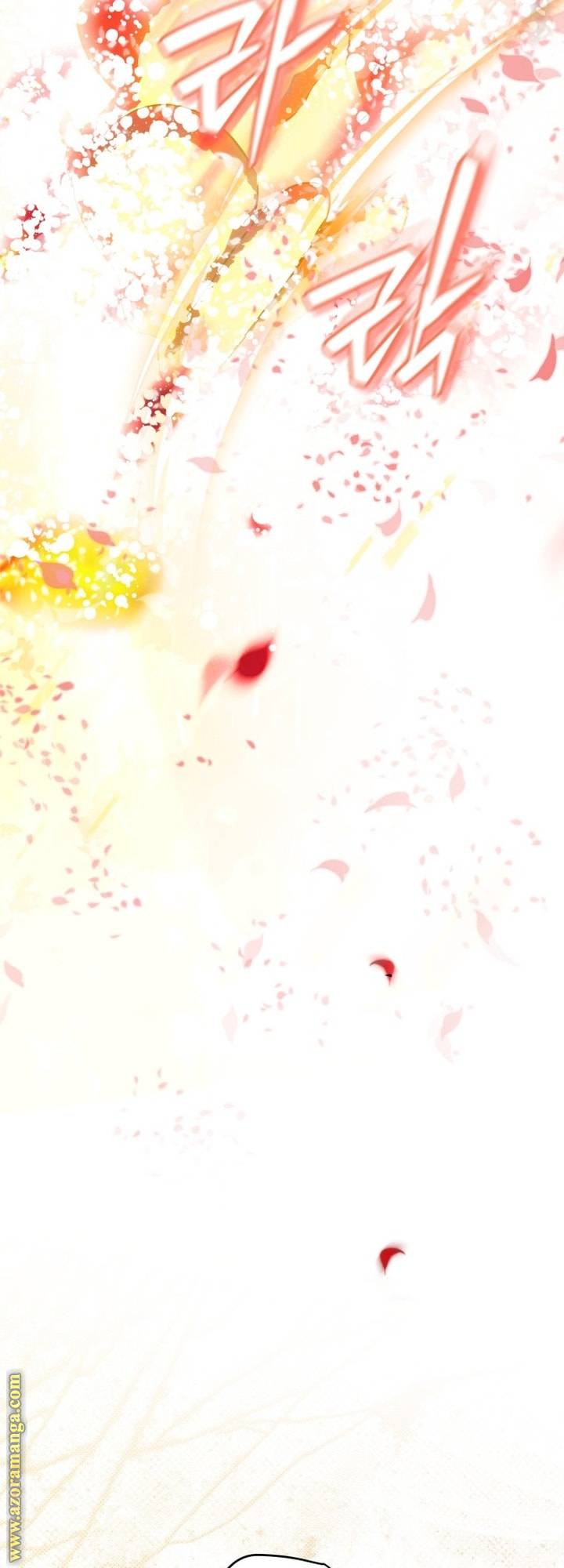 الصفحة 43