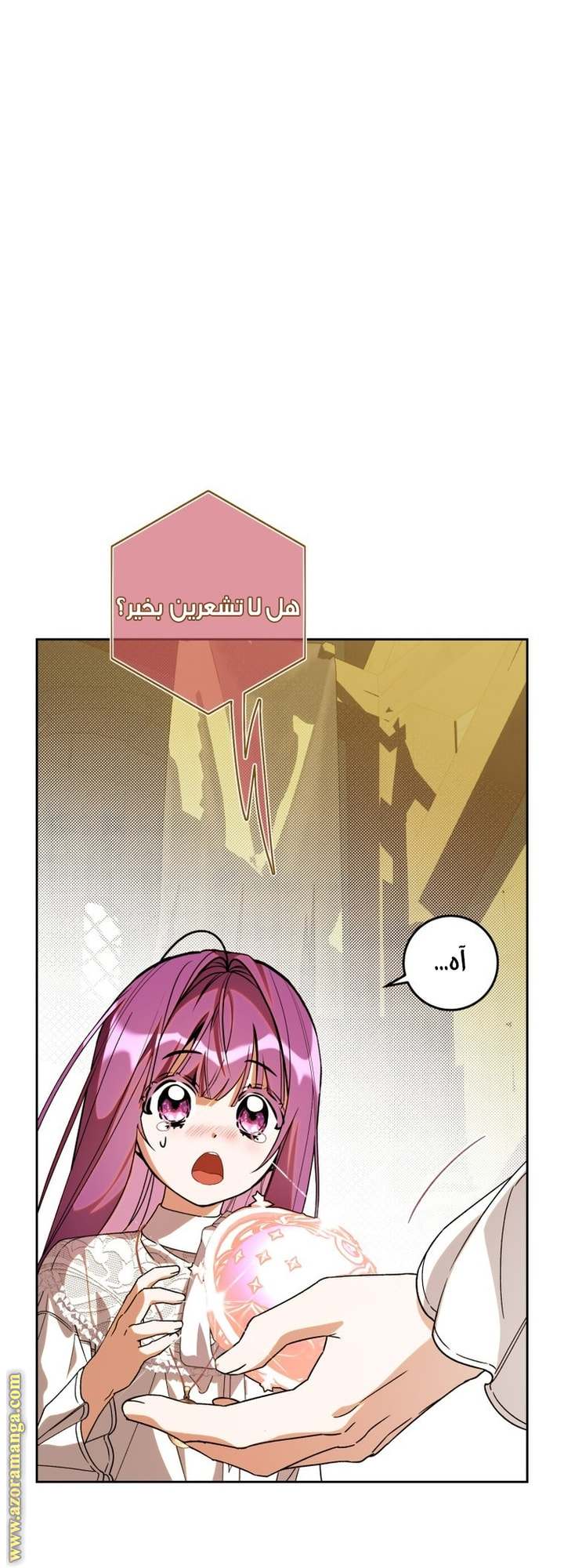 الصفحة 31
