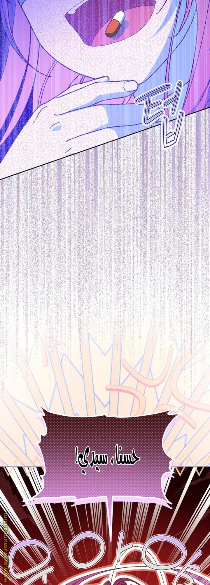 الصفحة 54