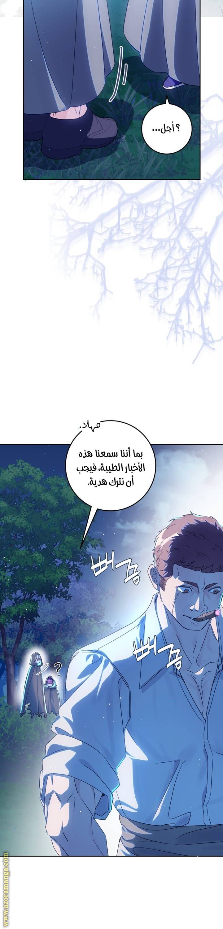 الصفحة 19