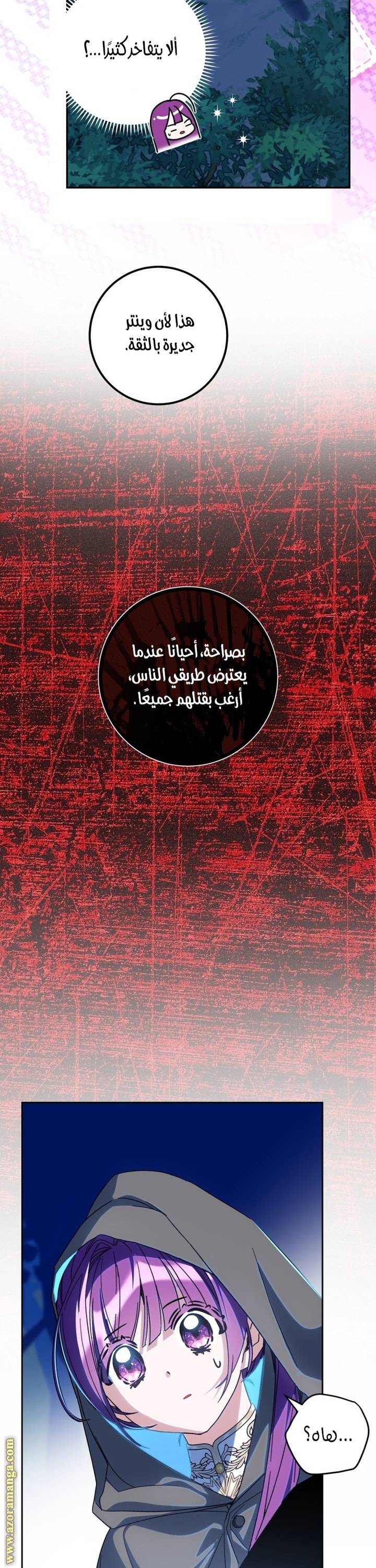 الصفحة 24