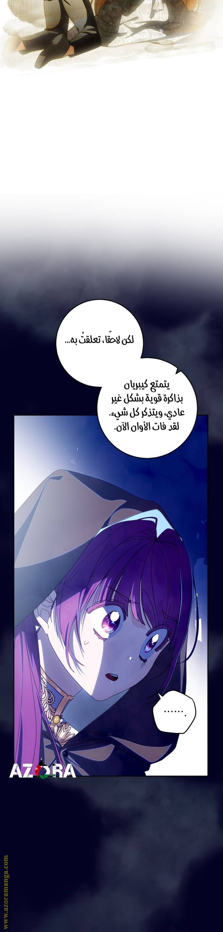 الصفحة 29