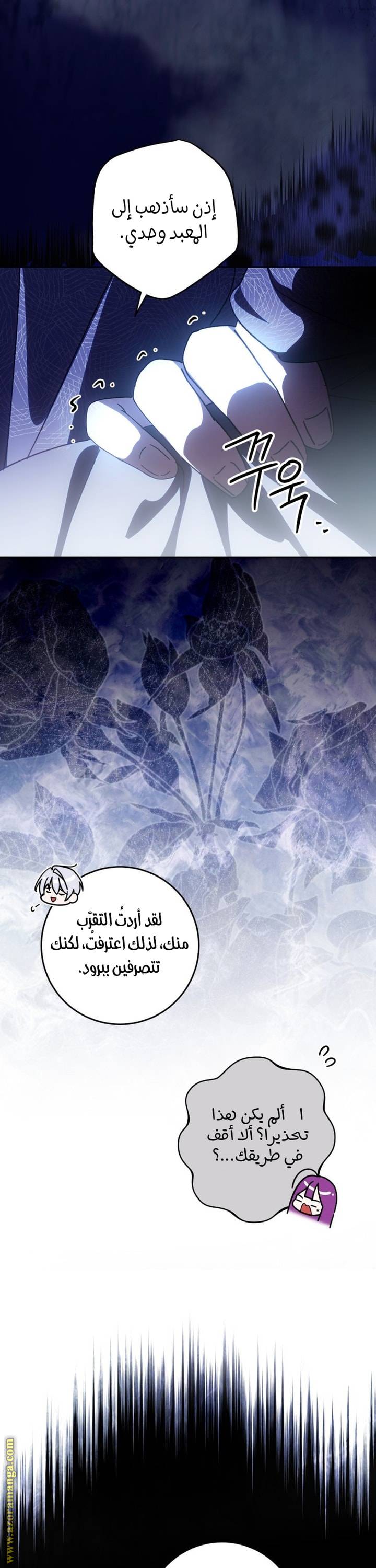الصفحة 31